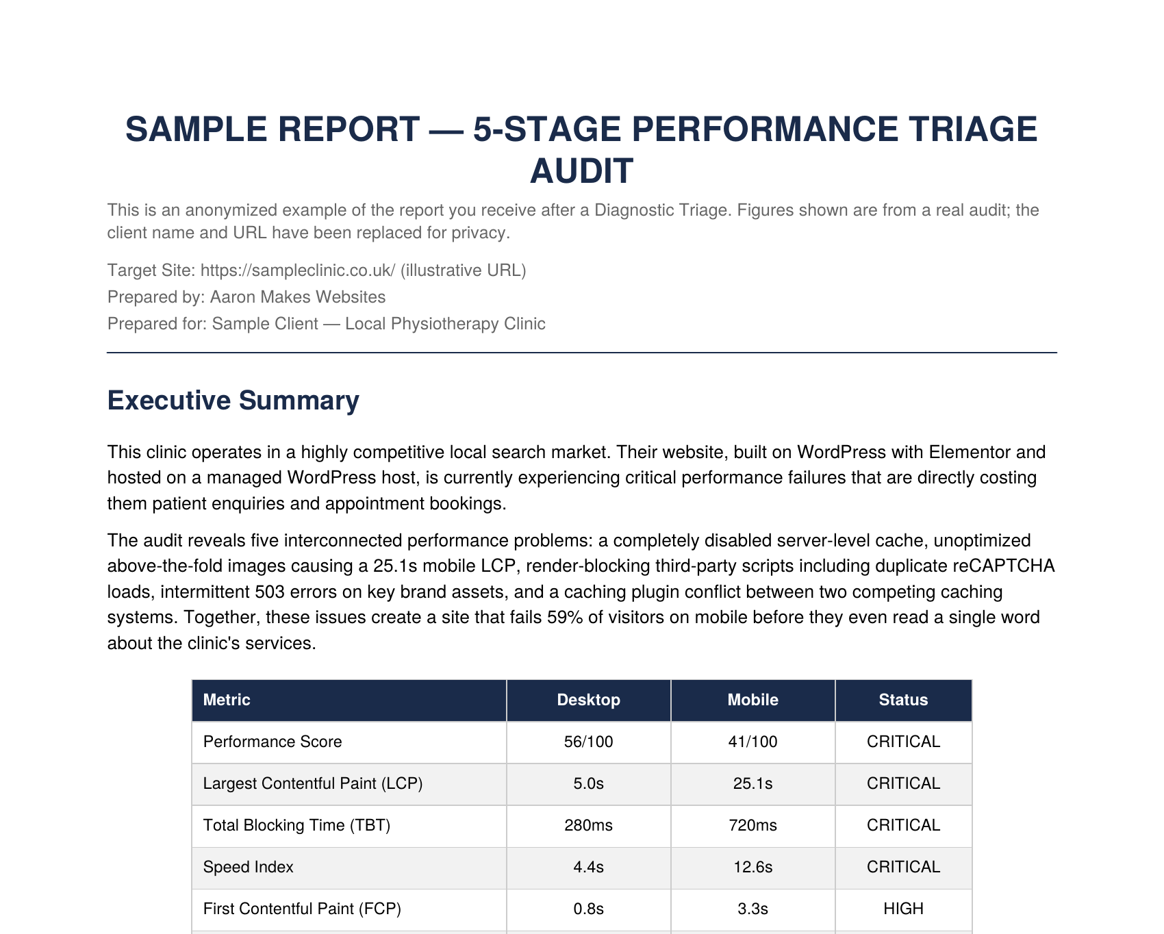 Executive Summary and metrics table from the diagnostic report